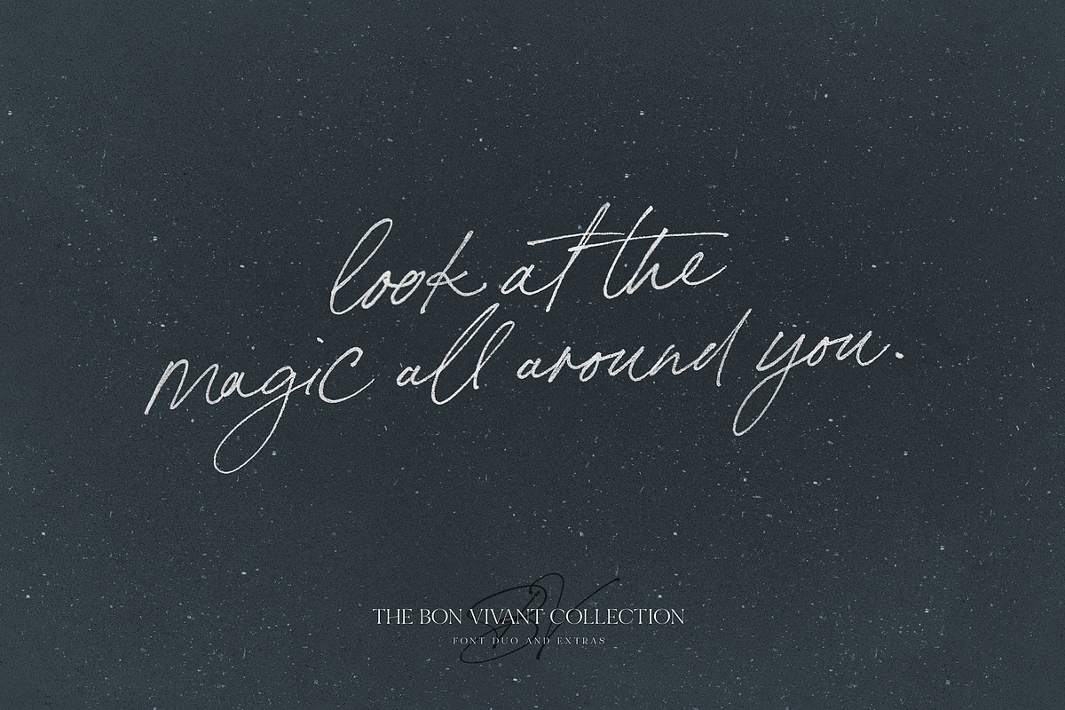 Bon Vivant Collection, a Serif Font by Nicky Laatz (Photo 24 of 44)