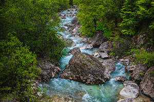 Spectacular Soca river in the forest, a Nature Photo by Alpine Dreams
