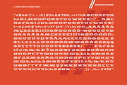 Armatura, a Serif Font by True Story Letterworks (Thumbnail 5 of 10)