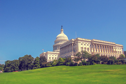 Capitol in Washington DC, USA preview 6