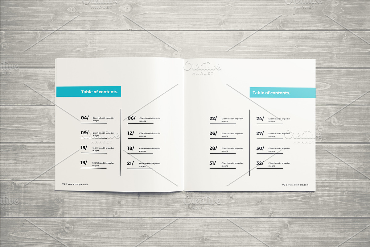 Photography Portfolio Template, a Brochure Template by ShapShapy (Photo 6 of 21)