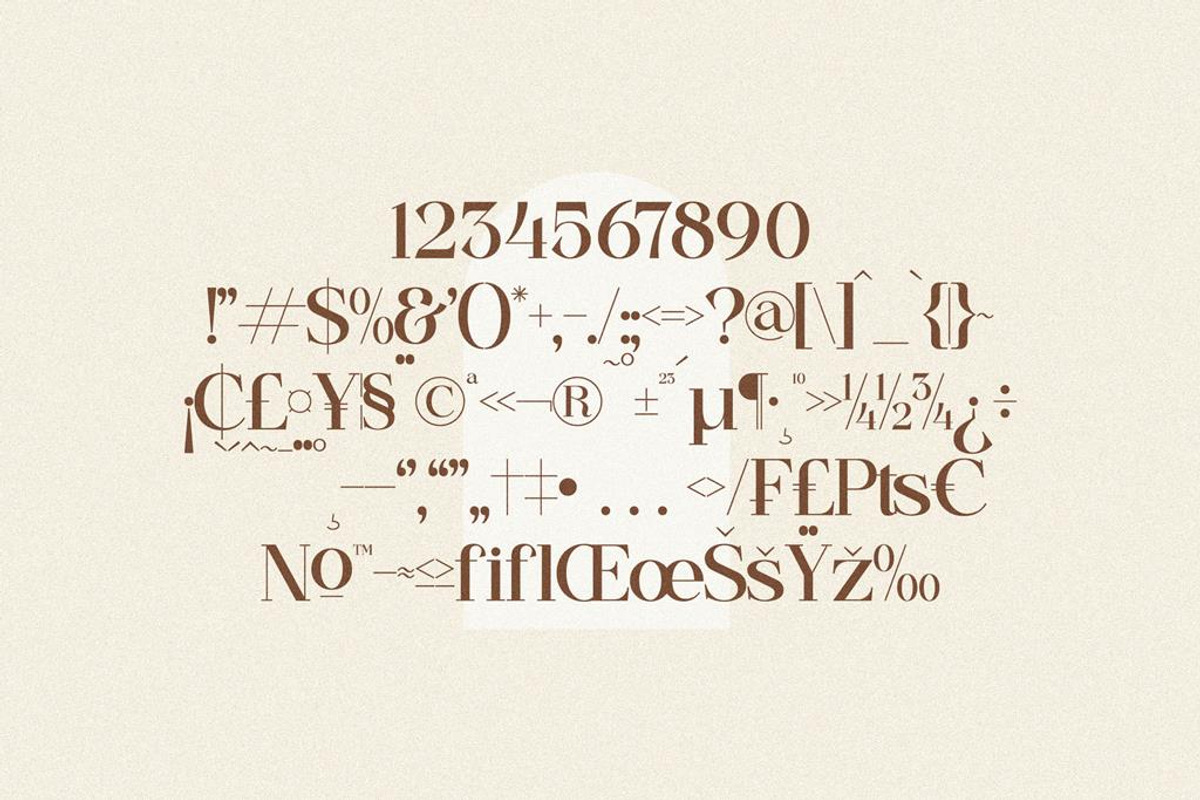Begilas Modern Serif Font, a Serif Font by Storytype Studio (Photo 12 of 14)