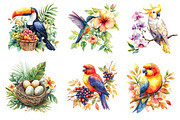Tropical Birds Garden Clipart, an Icon by Dream Creation (Thumbnail 2 of 6)
