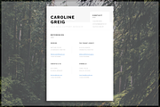 Professional Resume, a Resume Template by introDuice - CV / Resumes (Thumbnail 5 of 6)