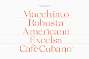 Qiona Elegant Modern Serif Font, a Serif Font by timelesstype.co (Thumbnail 2 of 20)
