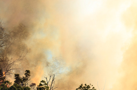 Smoke Rising from Forest Fire