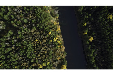 A Beautiful Aerial View of a Serene, a Nature Photo by Media Whale Stock