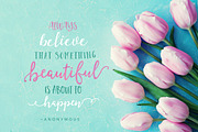 90% OFF- The Handlettered Fontbox, a Handwritten Font by Nicky Laatz (Thumbnail 11 of 15)
