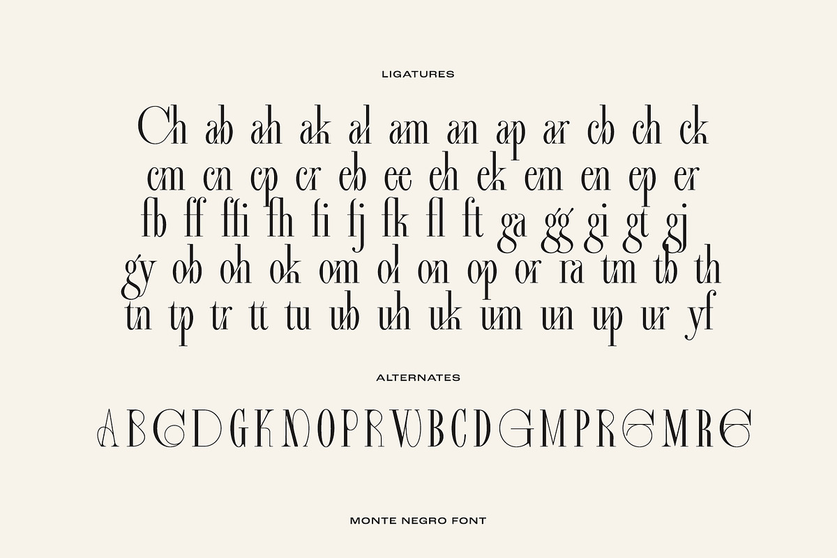 Monte Negro | Display Serif, a Serif Font by Ivan Rosenberg (Photo 3 of 13)