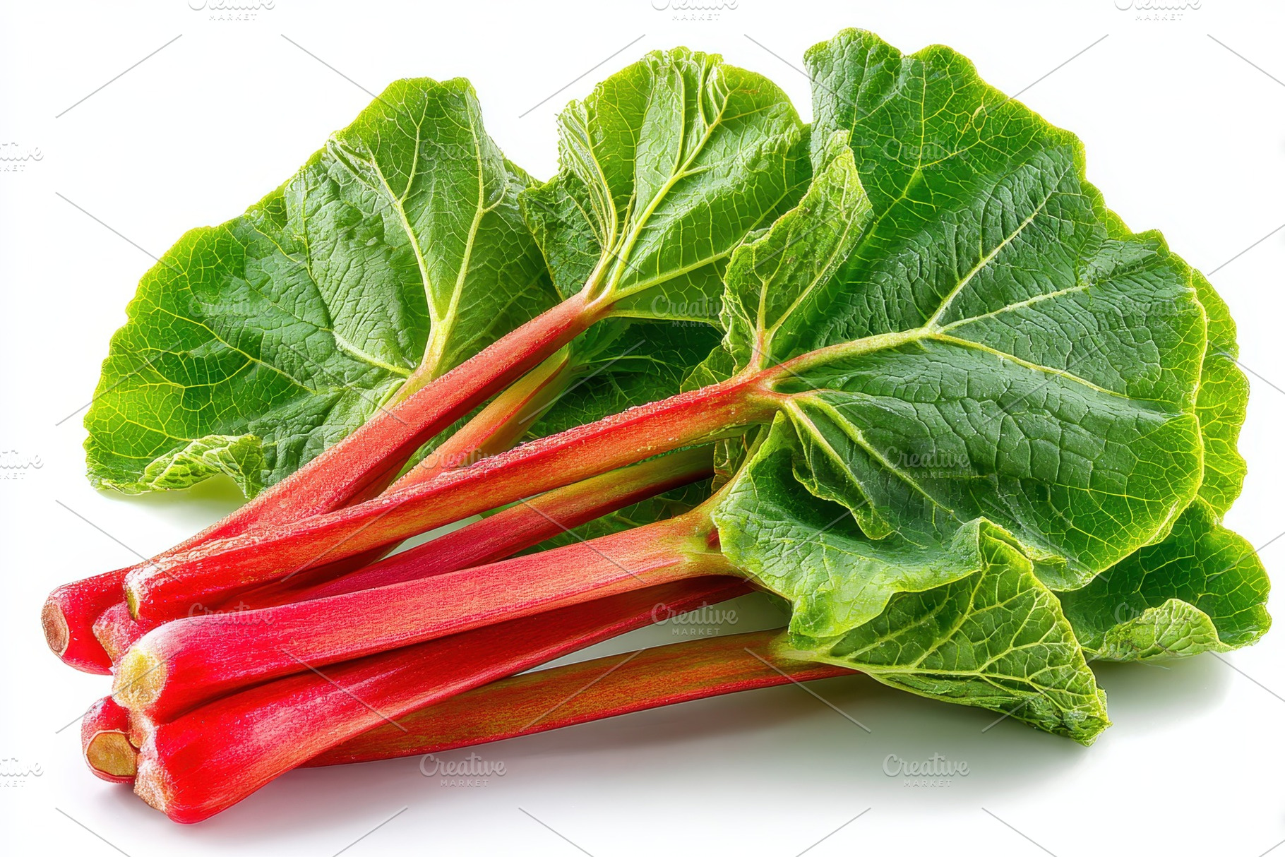 Fresh Rhubarb Stalks with Green Leav, a Photo by Pixeness Studio