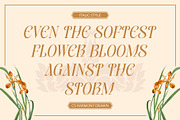 CS Harmony Drawn, a Serif Font by Craft Supply Co. (Thumbnail 2 of 8)