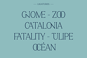 Clarinette Bold, a Serif Font by OceaneM (Thumbnail 3 of 6)