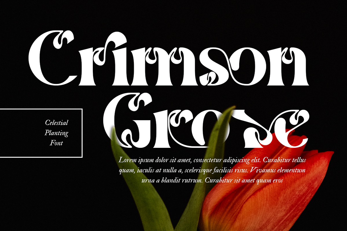 Celestial Planting - Modern Serif, a Serif Font by 177Studio (Photo 5 of 8)
