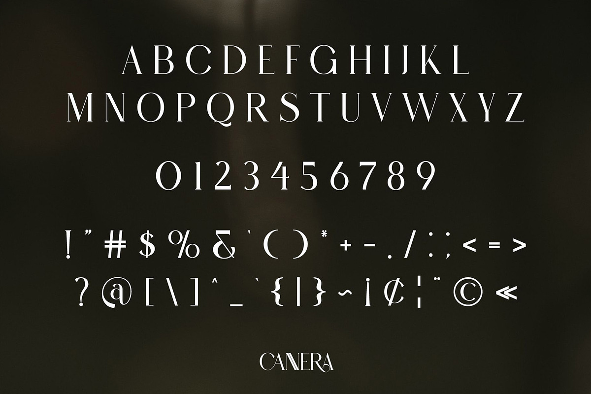 CANNERA Modern Ligature Serif, a Serif Font by Alfinart (Photo 8 of 9)