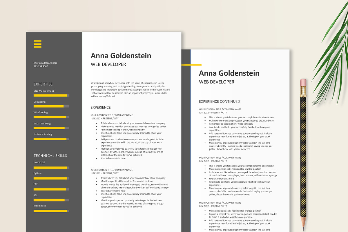 Web Developer Resume | IT Tech CV, a Resume Template by Stanin Studio (Photo 2 of 10)