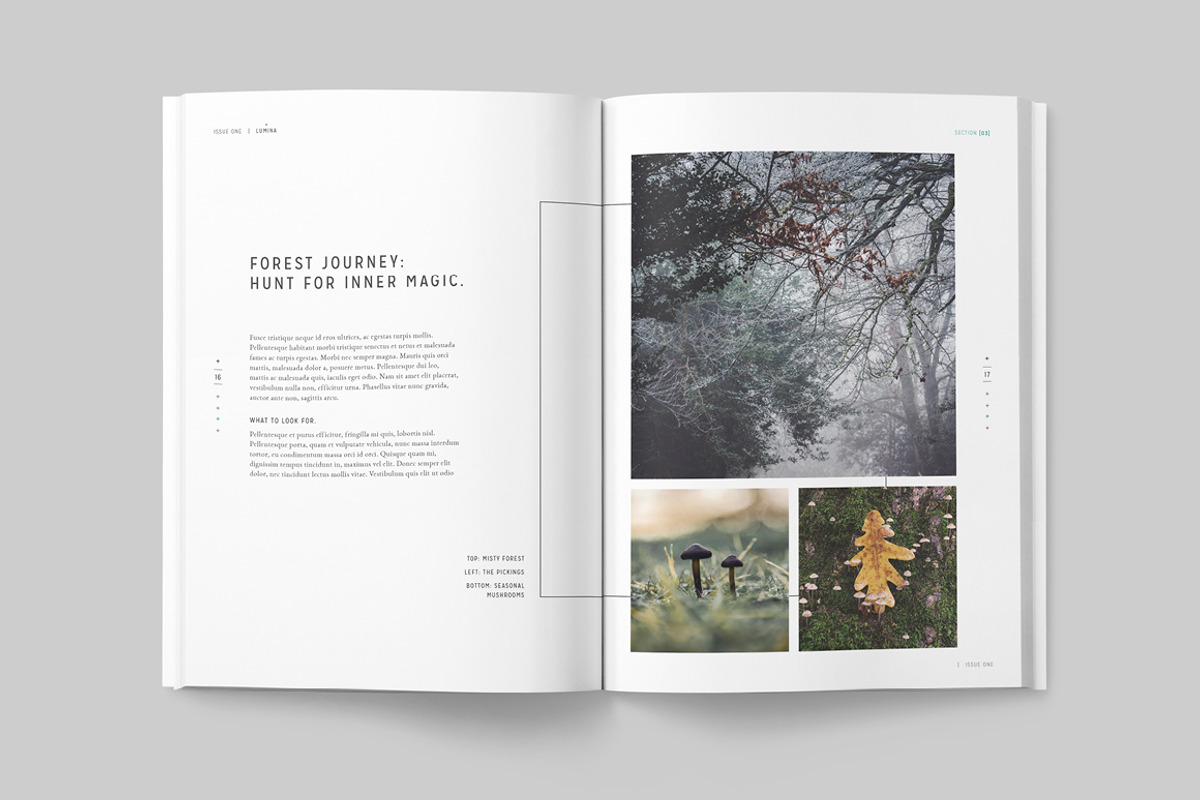 LUMINA Magazine, a Magazine Template by 46&2 Collective (Photo 12 of 27)