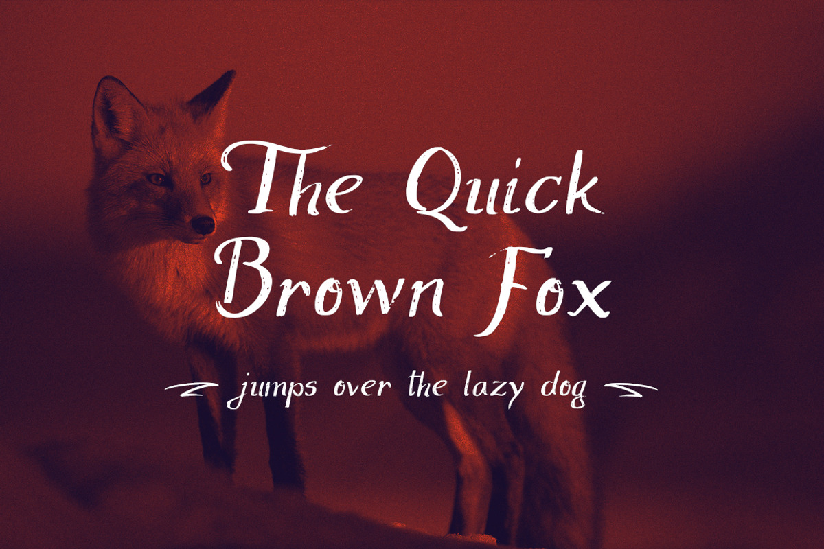 ProbablyNot - brush script, a Script Font by DwP (Photo 6 of 6)