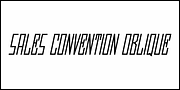 Sales Convention JNL, a Sans Serif Font by Jeff Levine Fonts (Thumbnail 4 of 5)