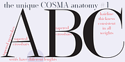 Cosma, a Serif Font by Wiescher-Design (Thumbnail 5 of 11)