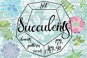 Succulents., an Illustration by maritime_m (Thumbnail 1 of 8)