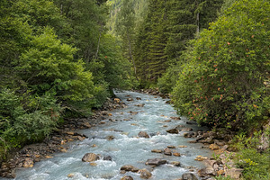Alpine river flowing through forest in Les Contamines-Montjoie,, a Nature Photo by GoodGoods