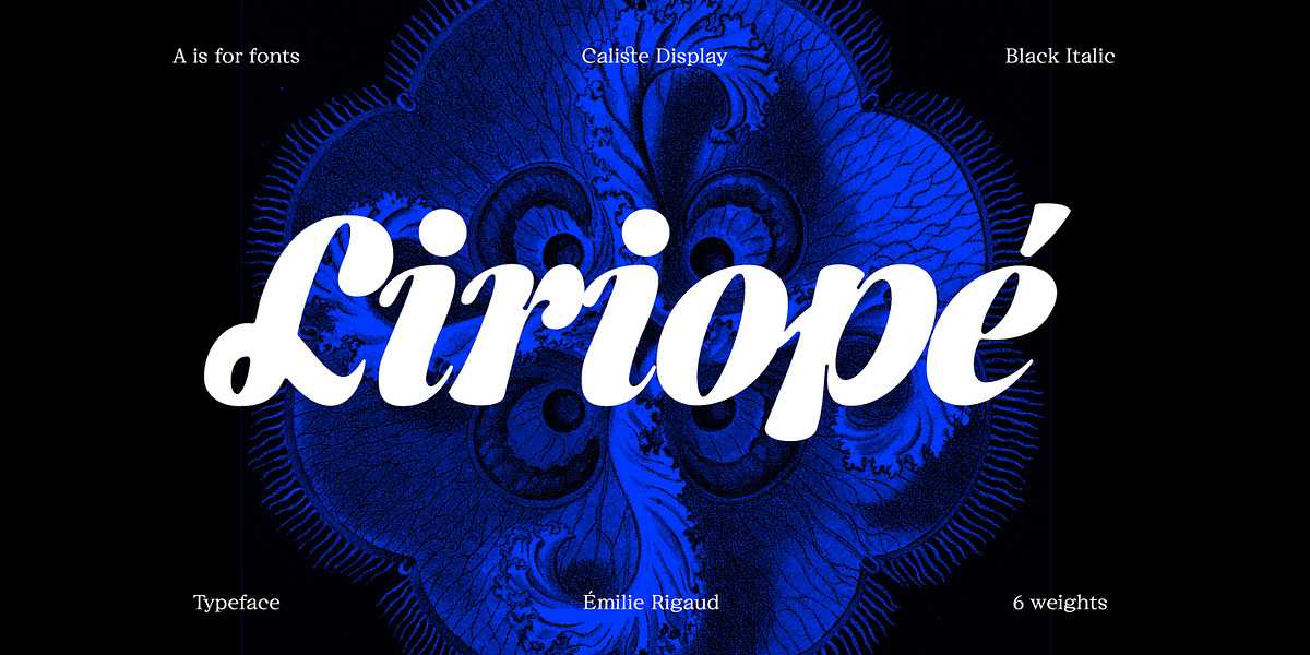 Caliste Display, a Serif Font by A is for... (Photo 5 of 10)