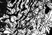 Frenzy Vol 1, a Texture Graphic by Jennifer Lauren Creative (Thumbnail 7 of 16)
