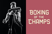 Alodraca Sans Serif Display Font, a Serif Font by Storytype Studio (Thumbnail 4 of 15)