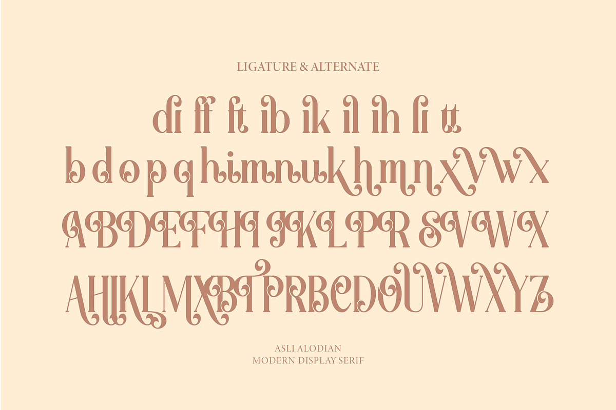 Aslin Alodian | Modern Display Serif, a Serif Font by Denustudios (Photo 15 of 15)
