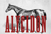 Alicydon Condensed Woodblock Font, a Slab Serif Font by Kitch22 Foundry (Thumbnail 1 of 3)