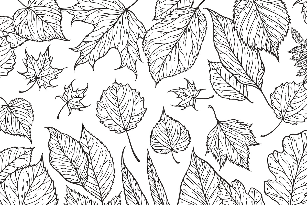 Hand drawn leaves collection, a Decorative Illustration by IreneArt illustrations (Photo 4 of 4)