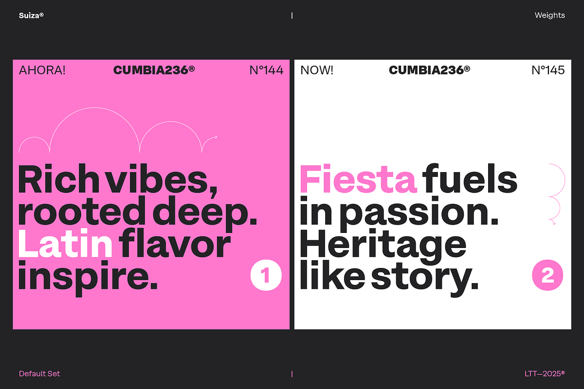 Suiza, a Sans Serif Font by Latinotype (Photo 11 of 16)