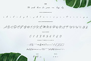 Das Pines - Modern Calligraphy, a Script Font by VUNIRA (Thumbnail 2 of 6)