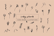 Floral Botanical Plant Illustrations, an Icon by CreativeWilderness (Thumbnail 1 of 11)