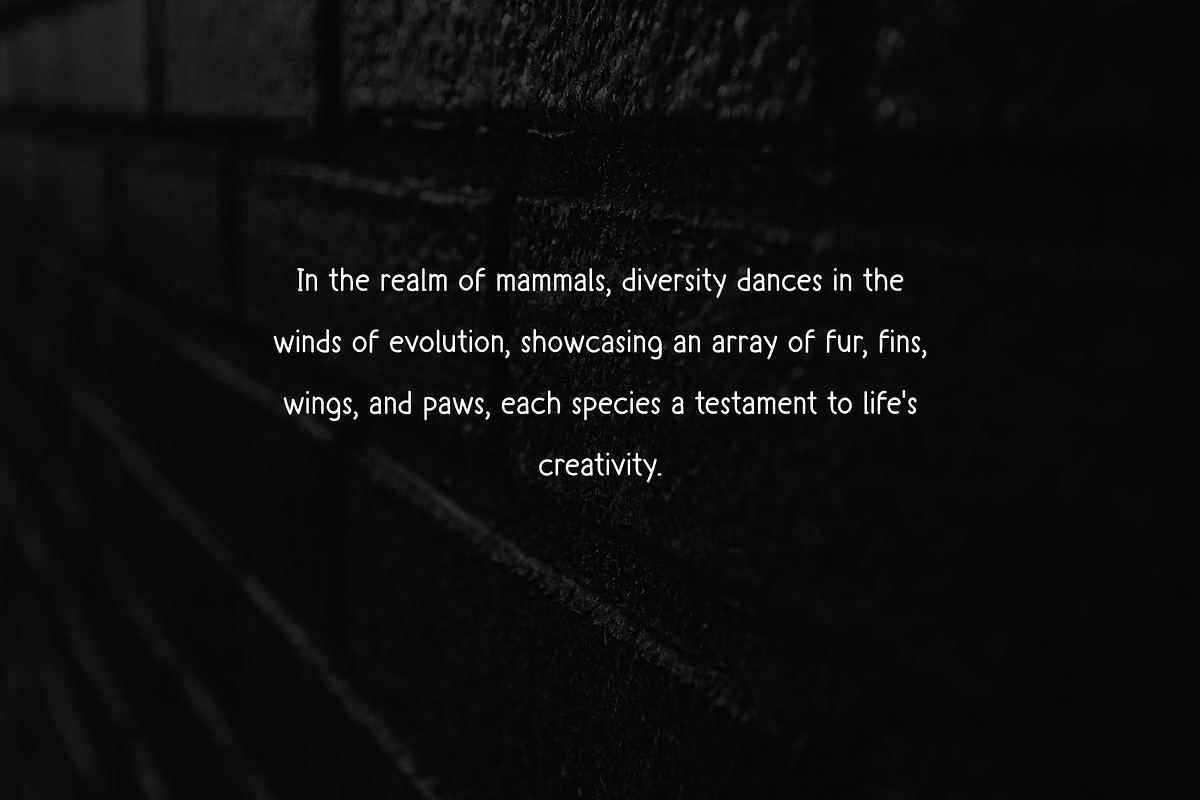 Mamallia - Handwriting font, a Handwritten Font by portype (Photo 3 of 6)