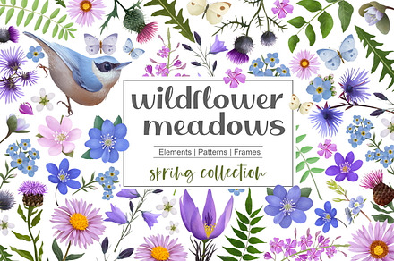Wildflower meadows collection