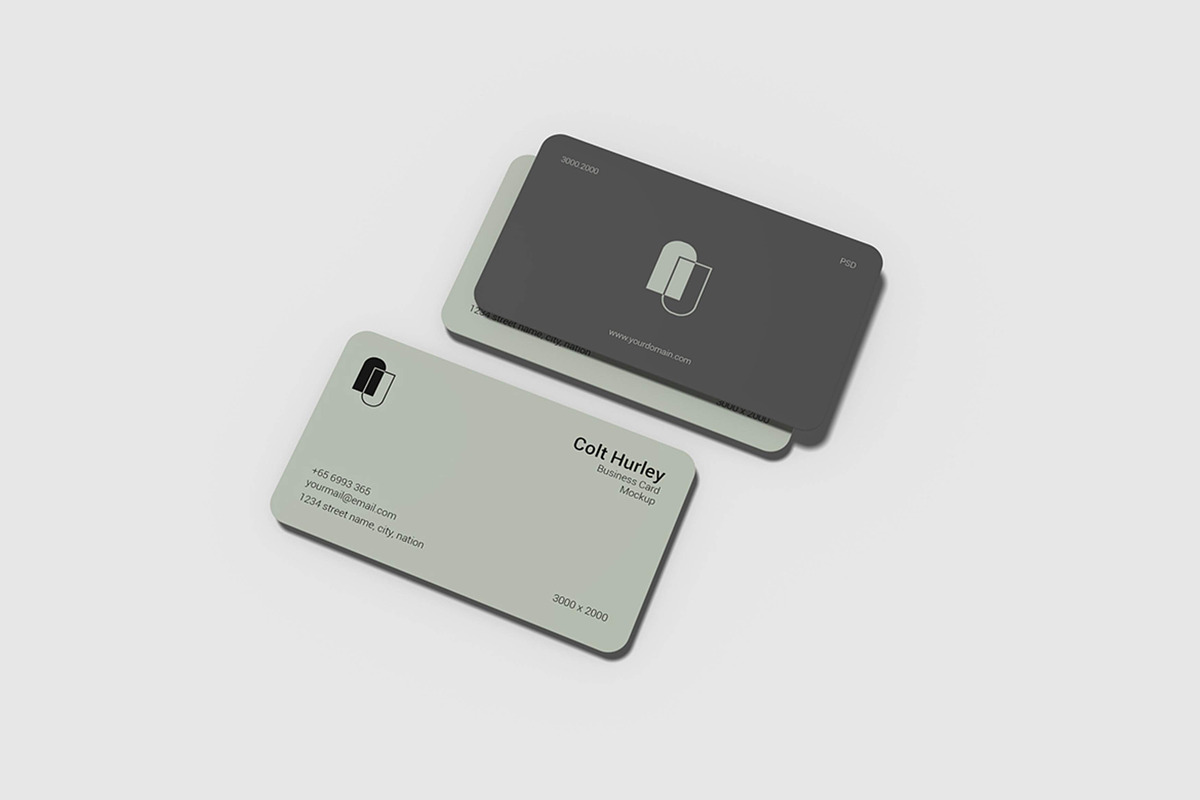 Business Card Mockup, a Books & Magazine Mockup by Meizzaluna Design (Photo 1 of 3)