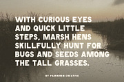 Marsh Hen Fonts, a Sans Serif Font by Chelsea Burkett (Thumbnail 2 of 7)