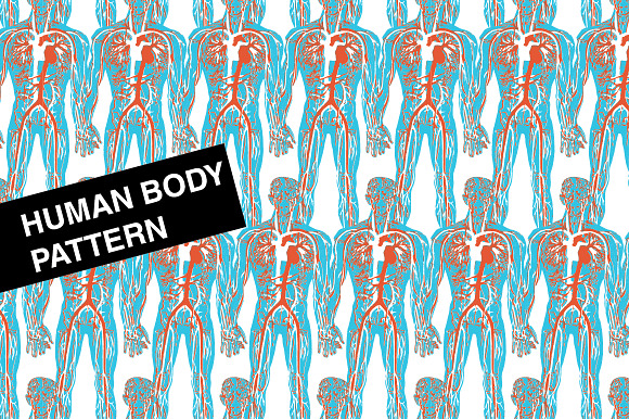 Human Body
