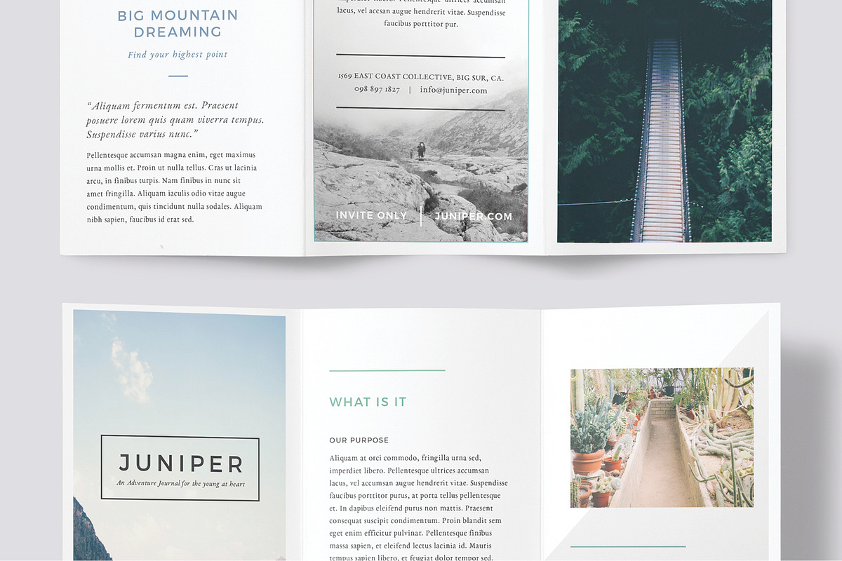 J U N I P E R  Trifold Brochure, a Brochure Template by 46&2 Collective (Photo 6 of 7)