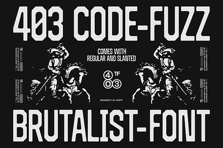 403 Code Fuzz, a Sans Serif Font by 403 Type Foundry