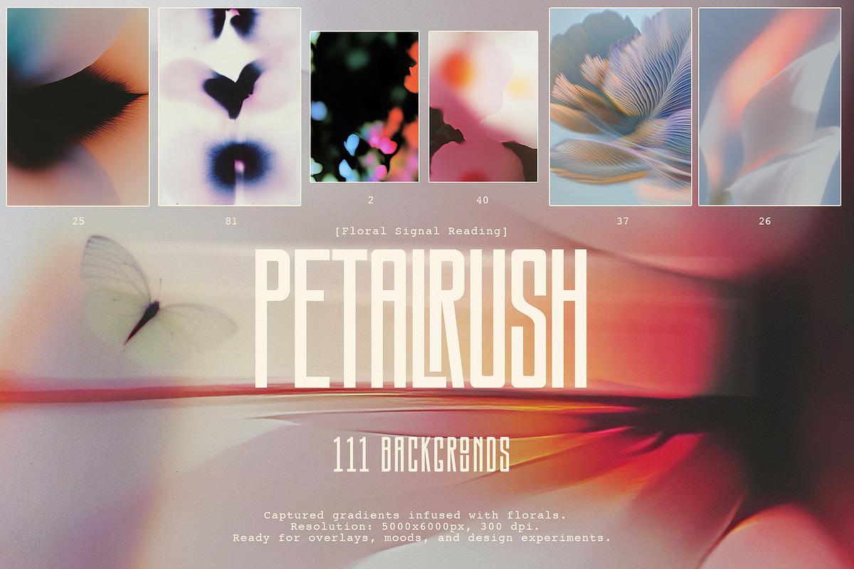 PETALRUSH: Floral Backgrounds, a Background Graphic by Purple (Photo 1 of 10)