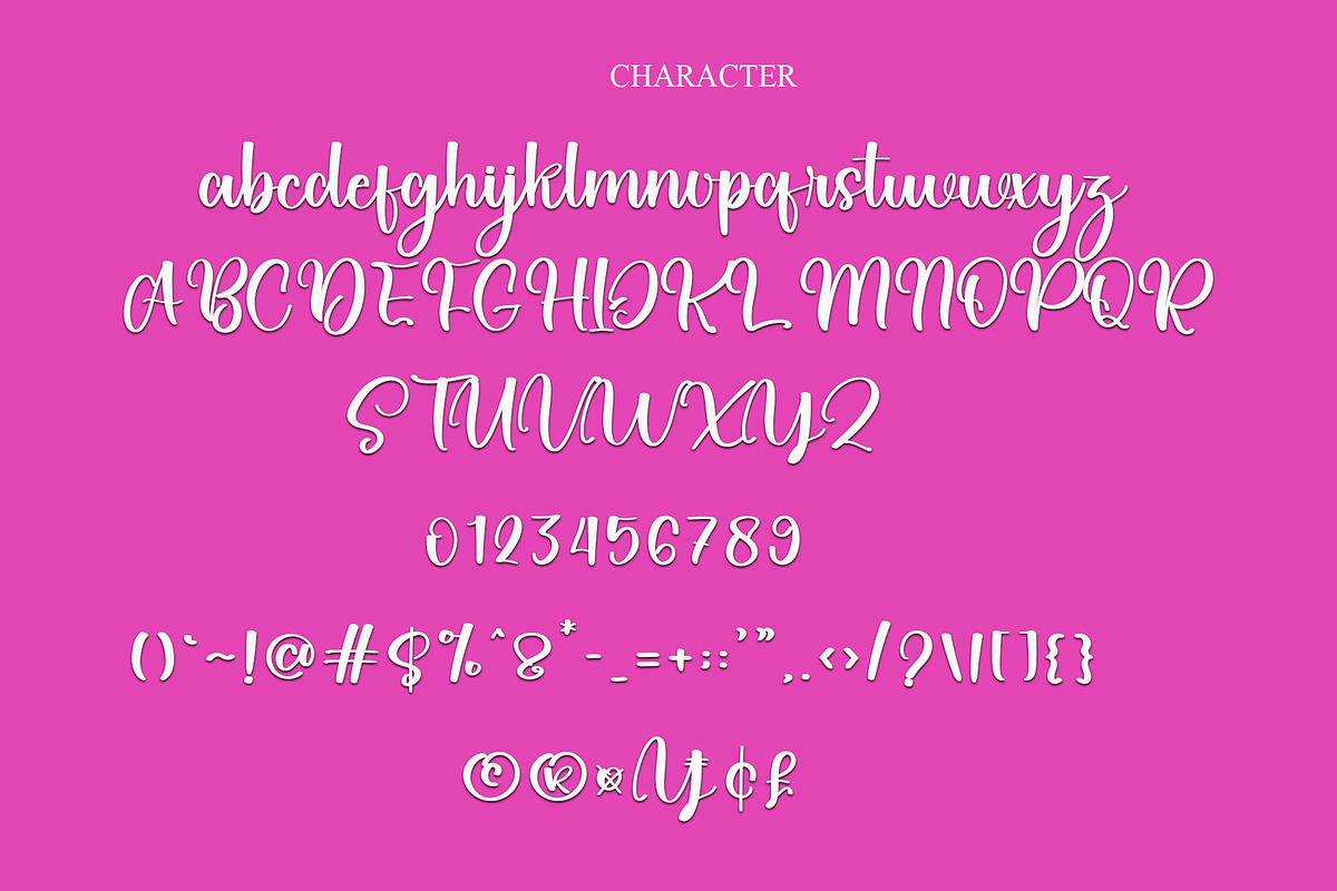 Onion, a Serif Font by FreshTypeINK (Photo 4 of 6)