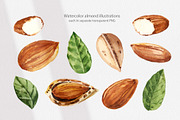 Cosmetic Ingredients Watercolor set, a Healthcare Illustration by Volha Studio (Thumbnail 3 of 19)