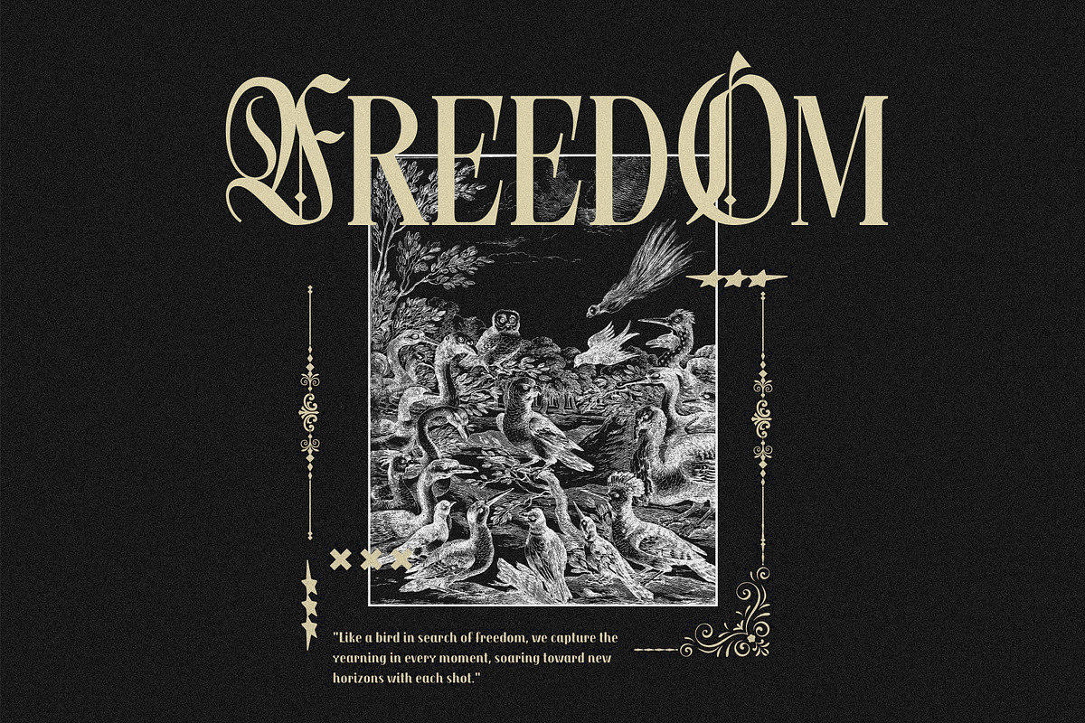 Northvale Blackletter Serif Font, a Blackletter Font by Heinzel Std (Photo 5 of 10)