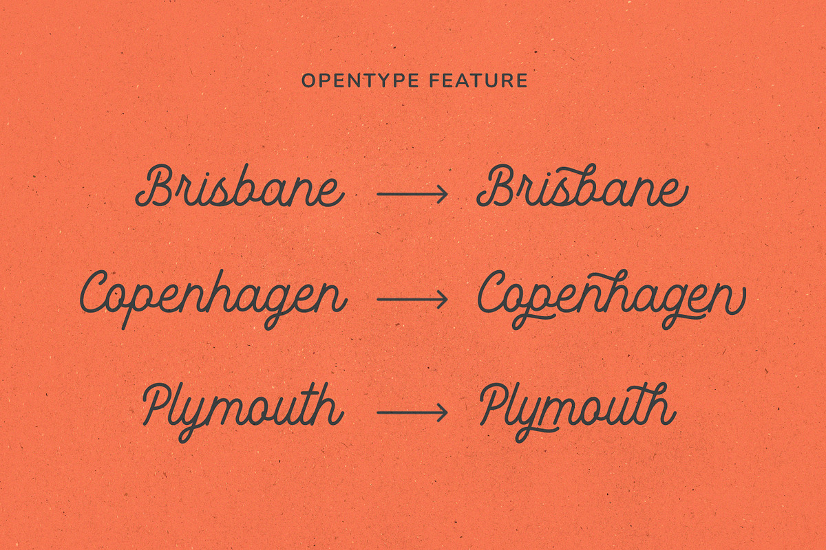 Rotterhead Monoline Vintage Font, a Script Font by Seagulls Creative (Photo 5 of 8)