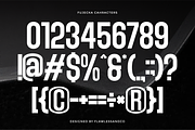 Fujecka - Condensed Sans Family Font, a Sans Serif Font by Flawless And Co (Thumbnail 8 of 10)