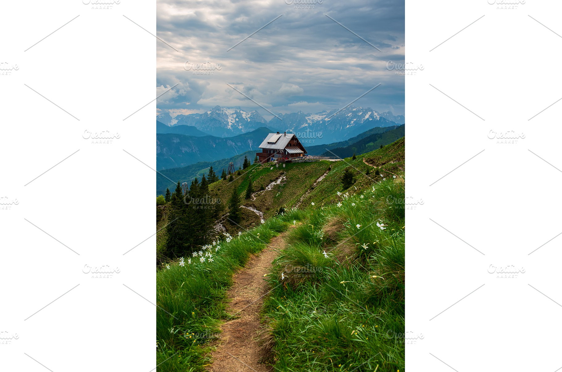 Mountain landscape with daffodil, a Nature Photo by Nature and travel