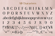 Heidan – Wedge Serif Font, a Serif Font by Craft Supply Co. (Thumbnail 7 of 8)