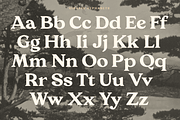 Giraffe Bold Serif Font, a Serif Font by Fenotype (Thumbnail 4 of 10)